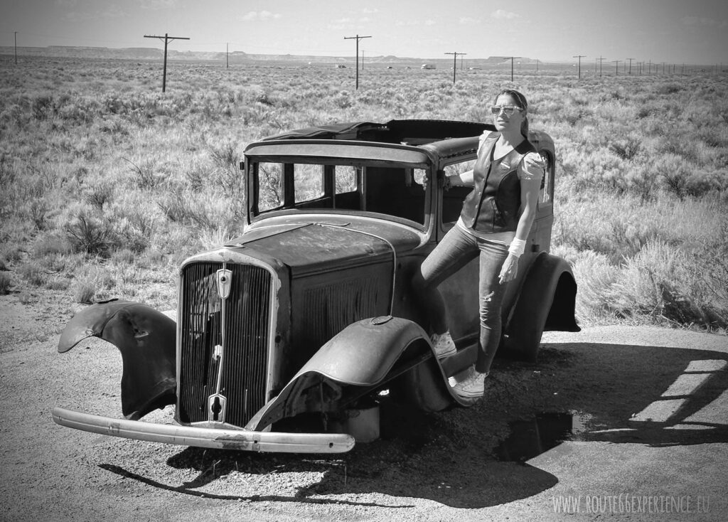 Petrified Forest