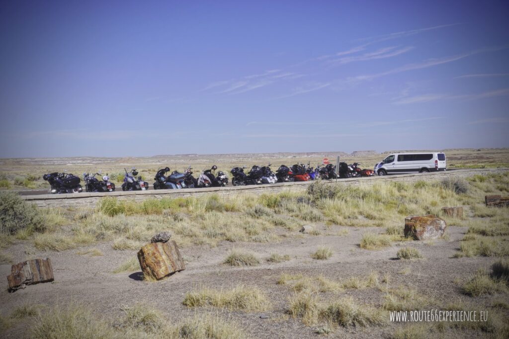 Petrified Forest, Crystal forest